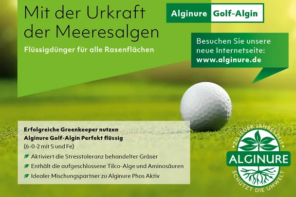 Anzeige Golf Algin