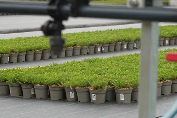 Ascophos Gießverfahren