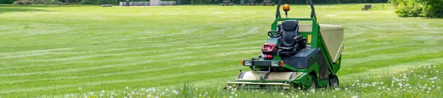 Rasenmäher auf Rasen