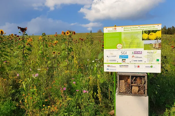 Bild vom Feld der SBE Bluehpatenschaft