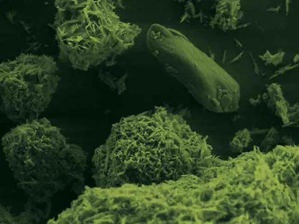 BC.MAGXX - Noch Verfügbarer