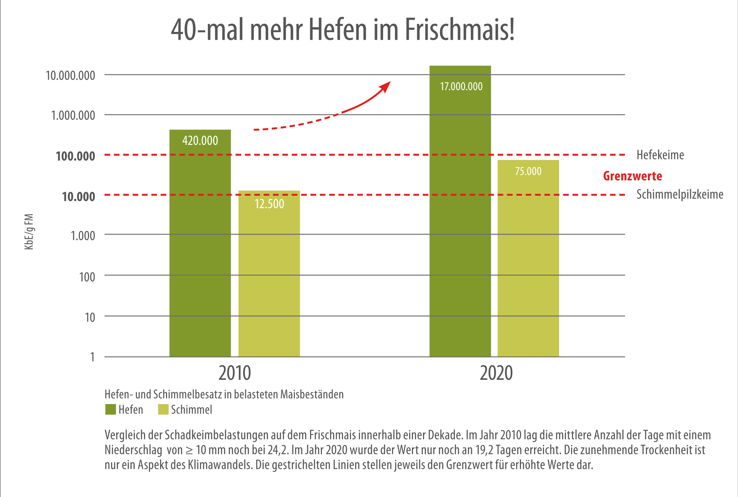 de_sbe_Grafik_HefenFrischmais