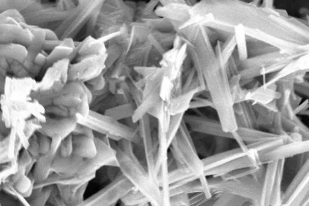 ACTILINC - Trace element chelate complex