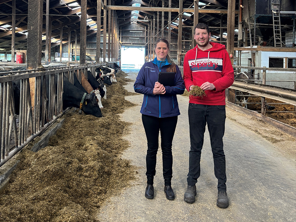 de_hws_pe_timo_joens