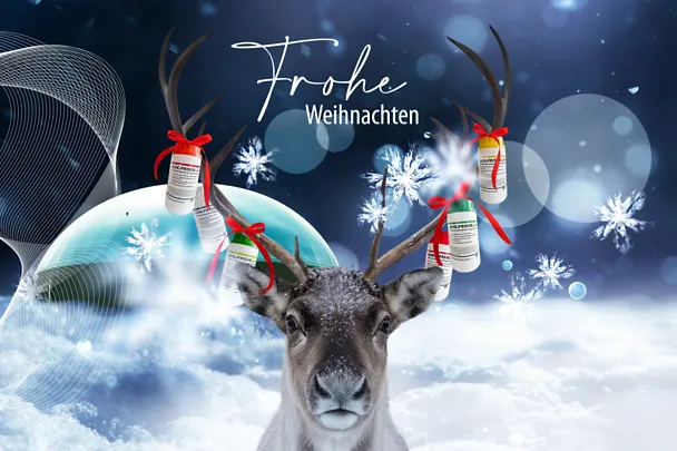 de_sbe_XMas_4_3_oText