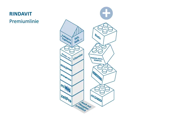 Milchkuehe_2026_251125_05