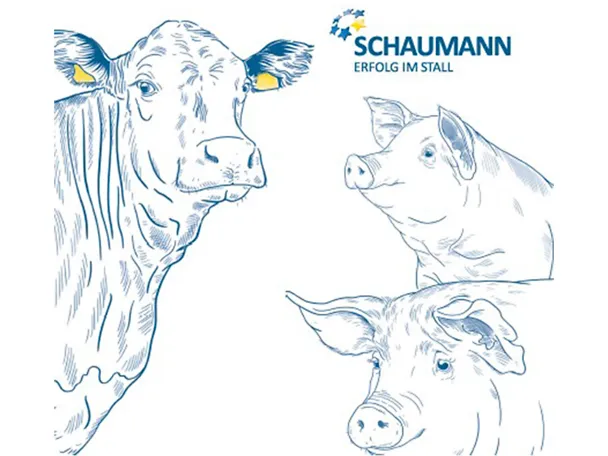 Illustration mit einem Rind und zwei Schweinen, die den FutterPLUS-Bonus symbolisieren