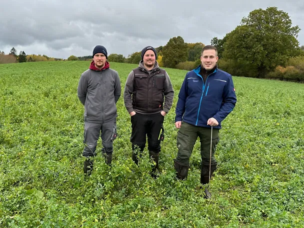 Jonas und Felix Lindemann mit SCHAUMANN-Fachberater Dennis Schiller (rechts) auf einem Feld mit Luzerne