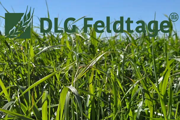 de_hws_dlg_feldtage_header_2026 de_hws_dlg_feldtage_header_2026