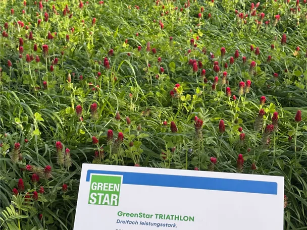 GreenStar TRIATHLON - Parzelle auf der Versuchsfläche der DLG-Feldtage 2026