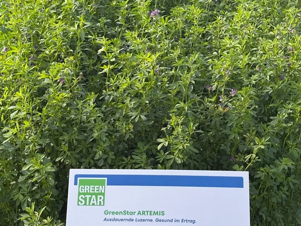 GreenStar ARTEMIS - Parzelle auf der Versuchsfläche der DLG-Feldtage 2026