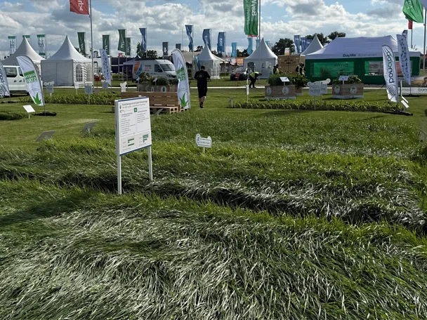 Parzellen GreenStar Grassamen auf der Versuchsfläche der DLG-Feldtage 2026