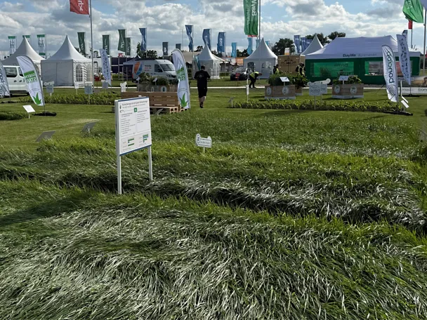 Parzellen GreenStar Grassamen auf der Versuchsfläche der DLG-Feldtage 2026 Parzellen GreenStar Grassamen auf der Versuchsfläche der DLG-Feldtage 2026