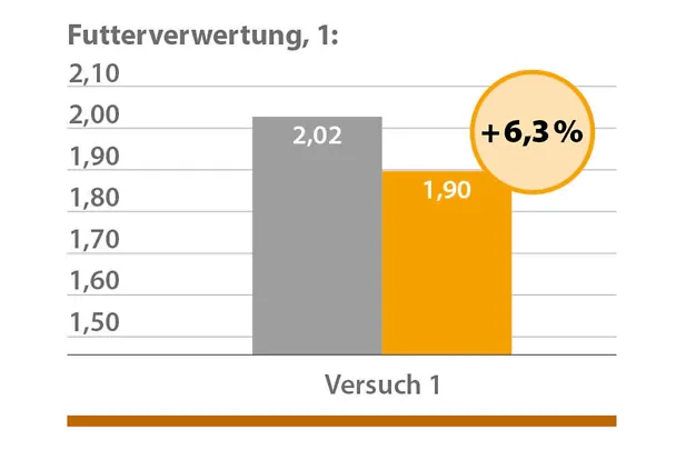 Geflügelfütterung mit CERAVITAL