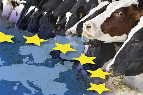 EU-Produkte von SCHAUMANN