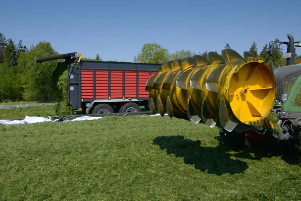Befüllen von Fahrsilos mit Grassilage