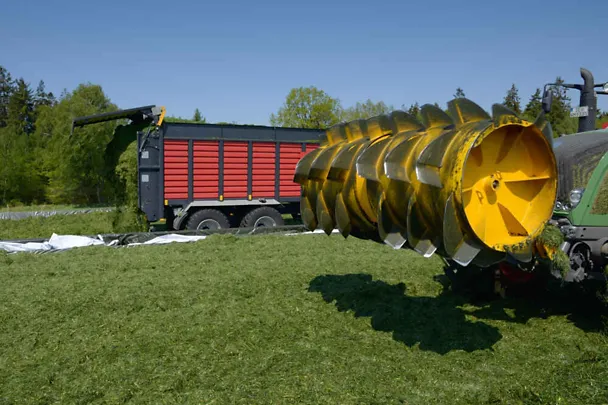 Grassilierung Grassilierung