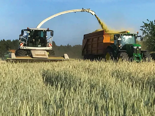 Ernte von Ganzpflanzensilage (GPS) auf Gut Hülsenberg