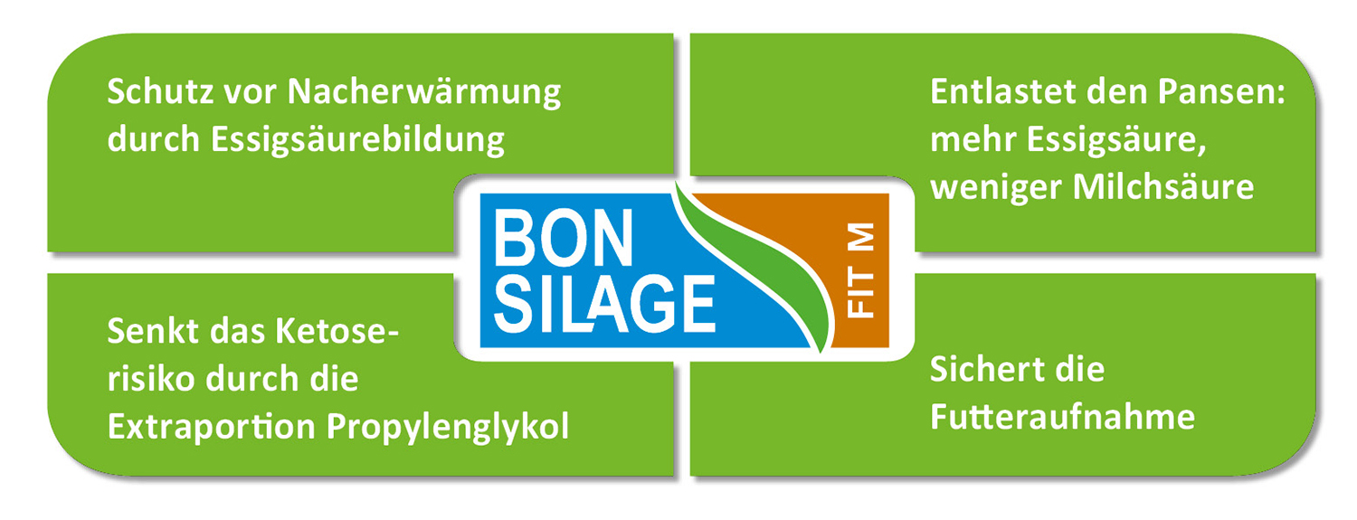 Wirkung von BONSILAGE FIT M