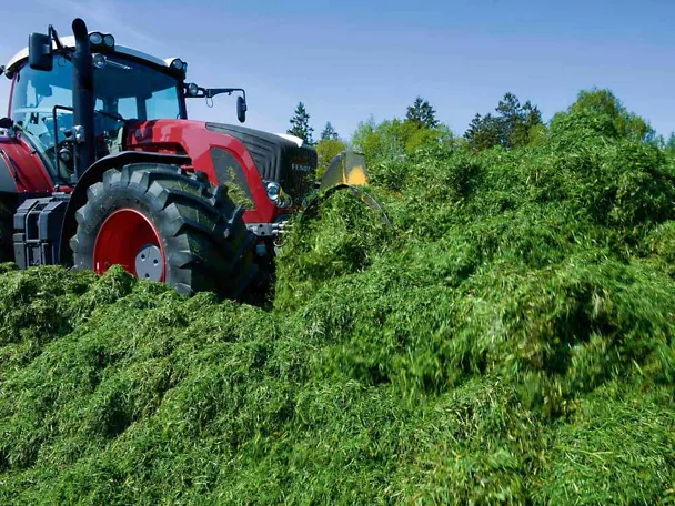 Fendt-Traktor verteilt Grassilage und walzt zur Verdichtung Fendt-Traktor verteilt Grassilage und walzt zur Verdichtung