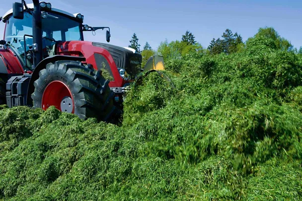 Traktor verdichtet Grassilage