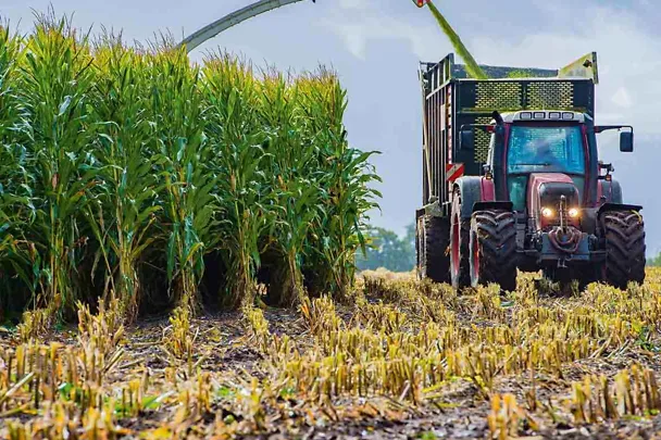 Trecker am Maisfeld bei der Maisernte