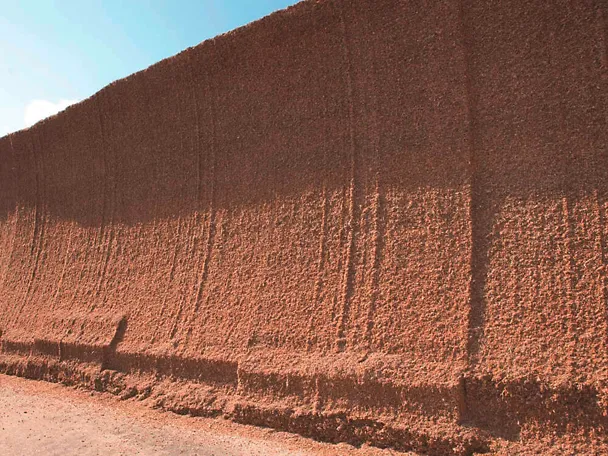 Geöffnetes Maissilo mit Anschnittfläche