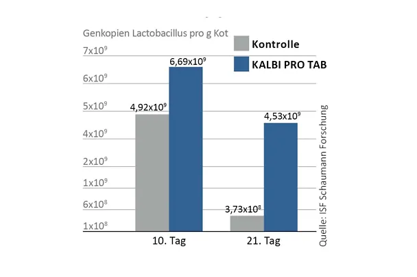 Die Milchsäurebakterien in KALBI PRO TAB besiedeln den Darm schnell und langanhaltend