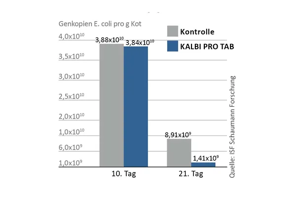 Die Milchsäurebakterien in KALBI PRO TAB reduzieren die Entwicklung und Vermehrung von pathogenen Erregern