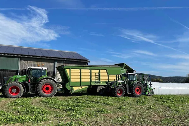 Schlauchsilage