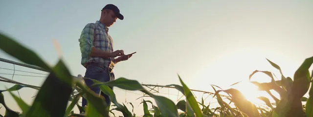 ado_DiedovStock_landwirt_mobiltelefon_feld_rdax_40p