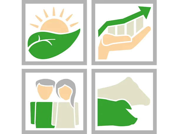 Icons der Säulen der Nachhaltigkeit gebündelt