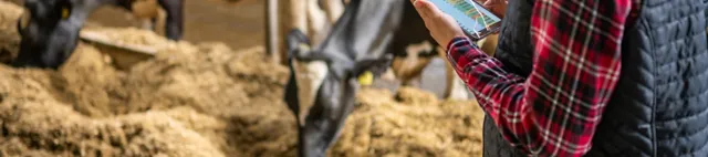 Beratung mit Cow-how milk von SCHAUMANN am Tablet Beratung mit Cow-how milk von SCHAUMANN am Tablet