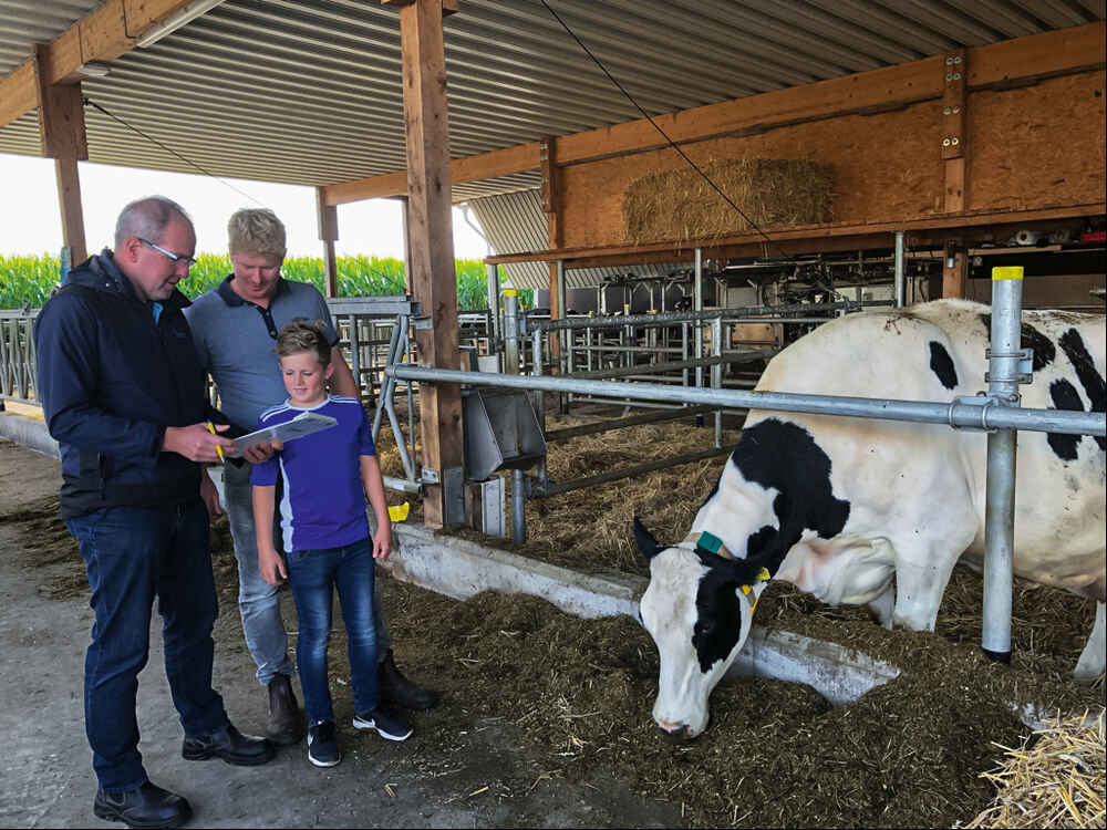 Betrieb Paulsen: Bessere Milchleistung im neuen Milchviehstall