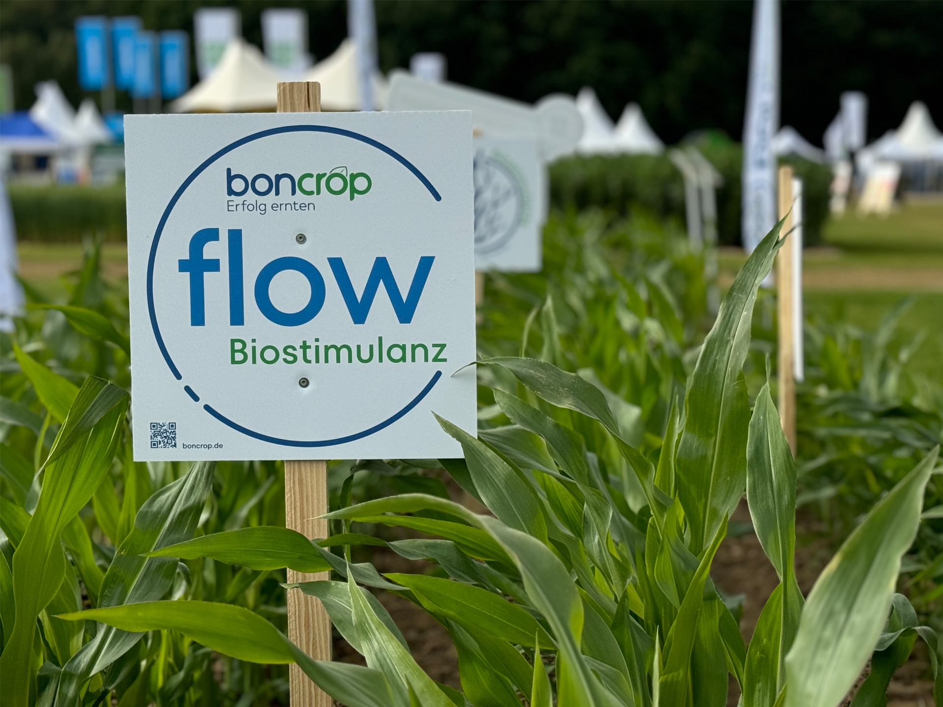 DLG Feldtage 2024 Schild boncrop flow Mais