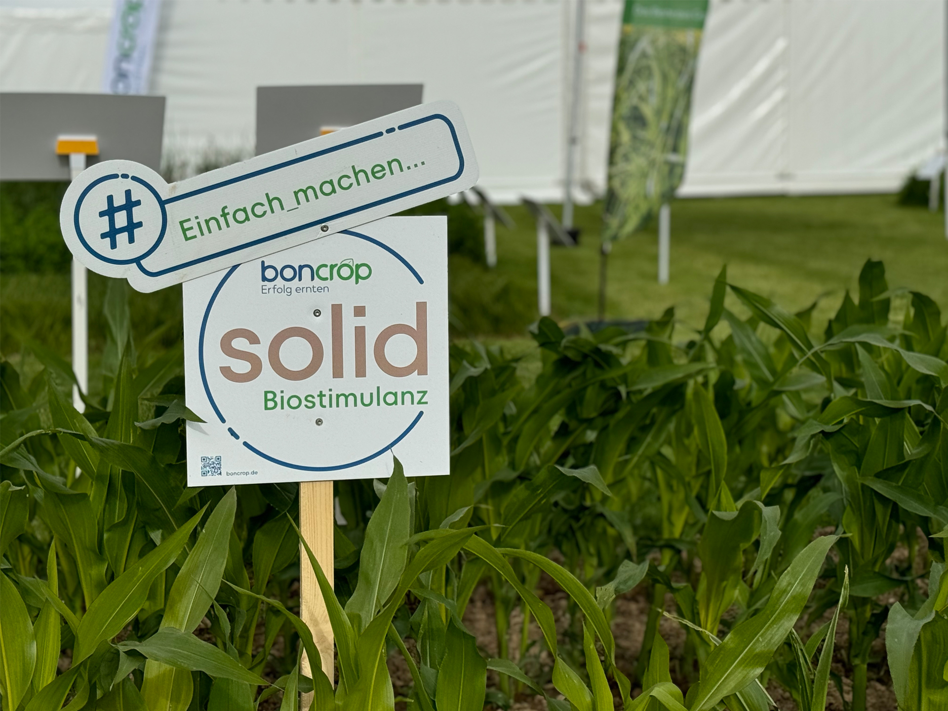 DLG Feldtage 2024 Schild boncrop solid Mais