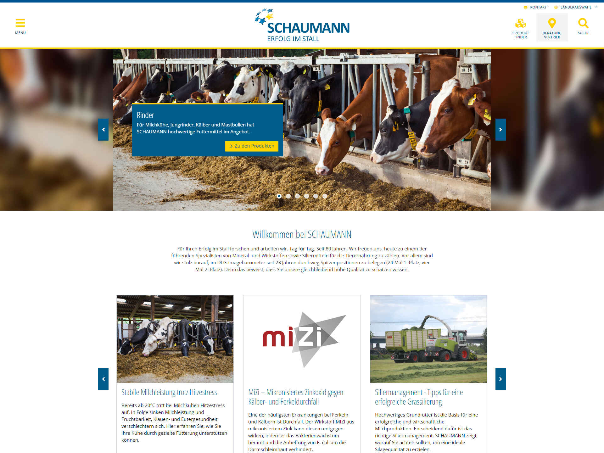 Screenshot der neuen Schaumann-Internetseite