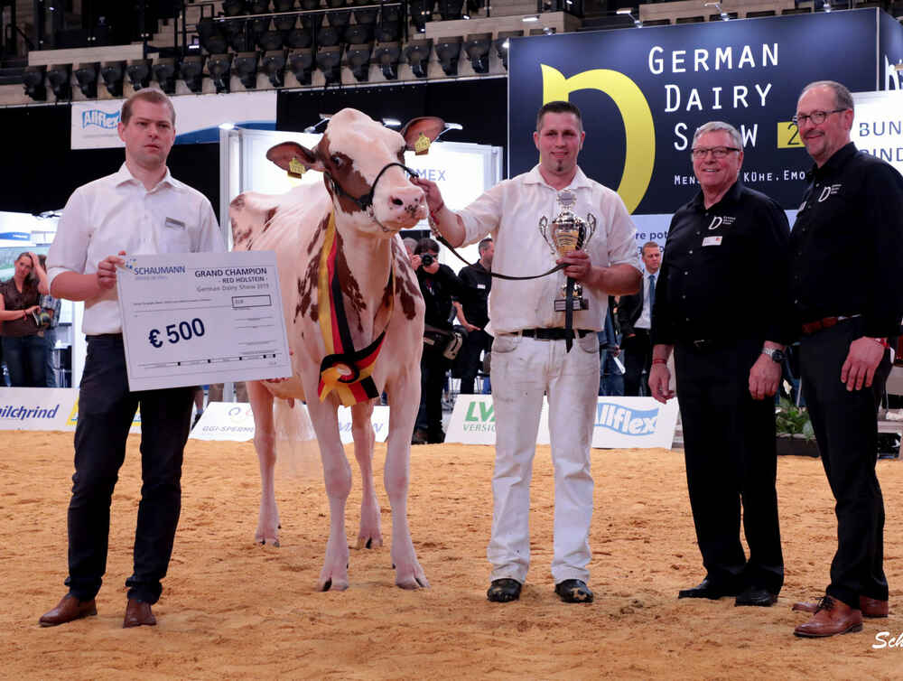 SCHAUMANN stiftet Ehrenpreis für German Dairy Show