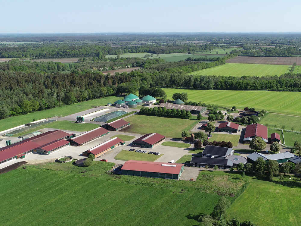 Eine starke Kombination: bonsilage und RUMIVITAL reduzieren die Methanintensität