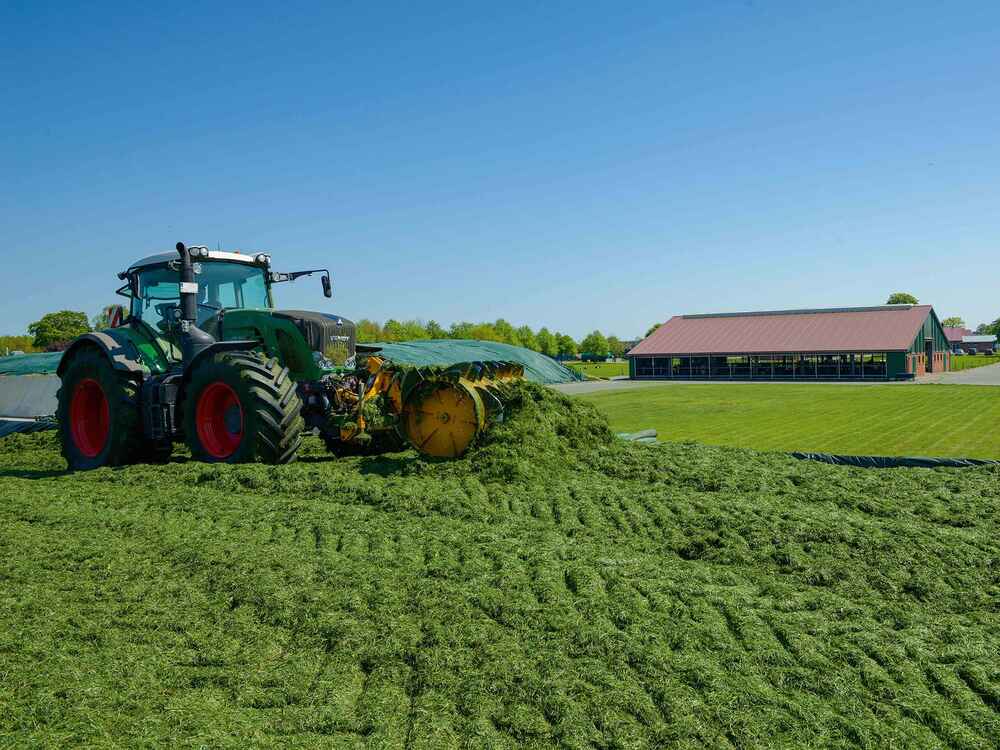 BONSILAGE FIT G wandelt Zucker in wertvolles Propylenglykol um