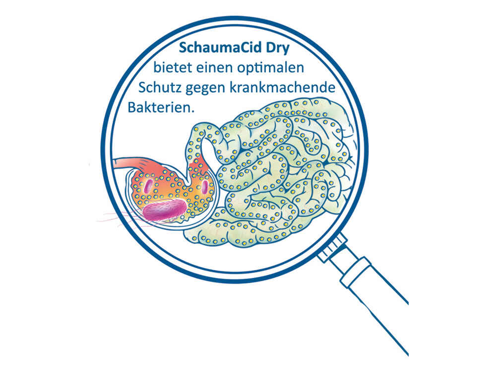 SCHAUMACID DRY - Säurekombination