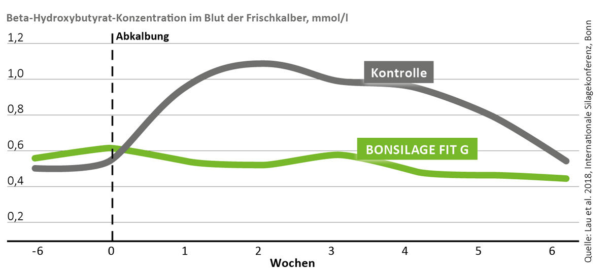 Weniger Ketosen mit BONSILAGE FIT G