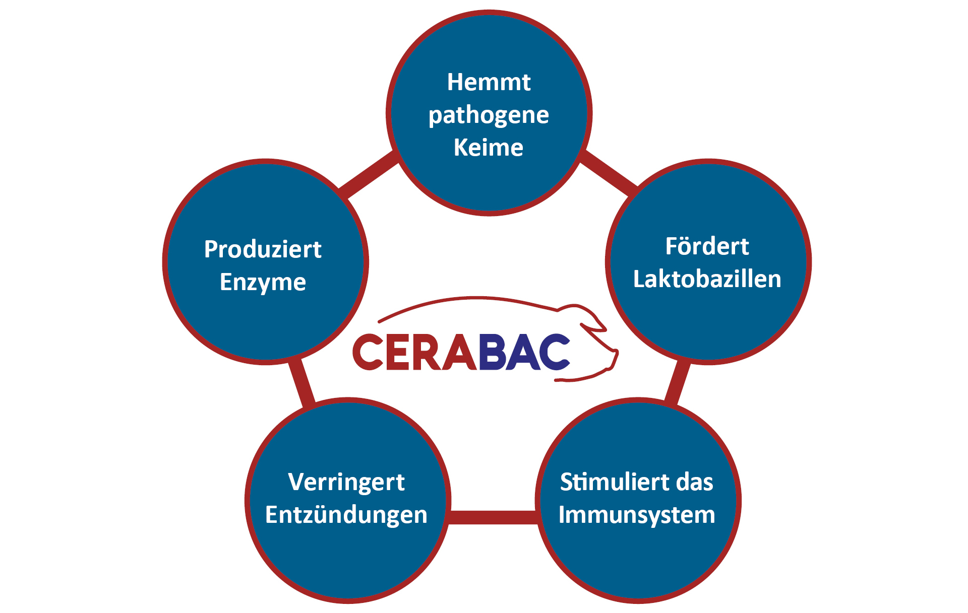 Effekte von CERABAC