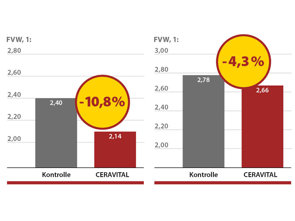 CERAVITAL bei Mastschweinen