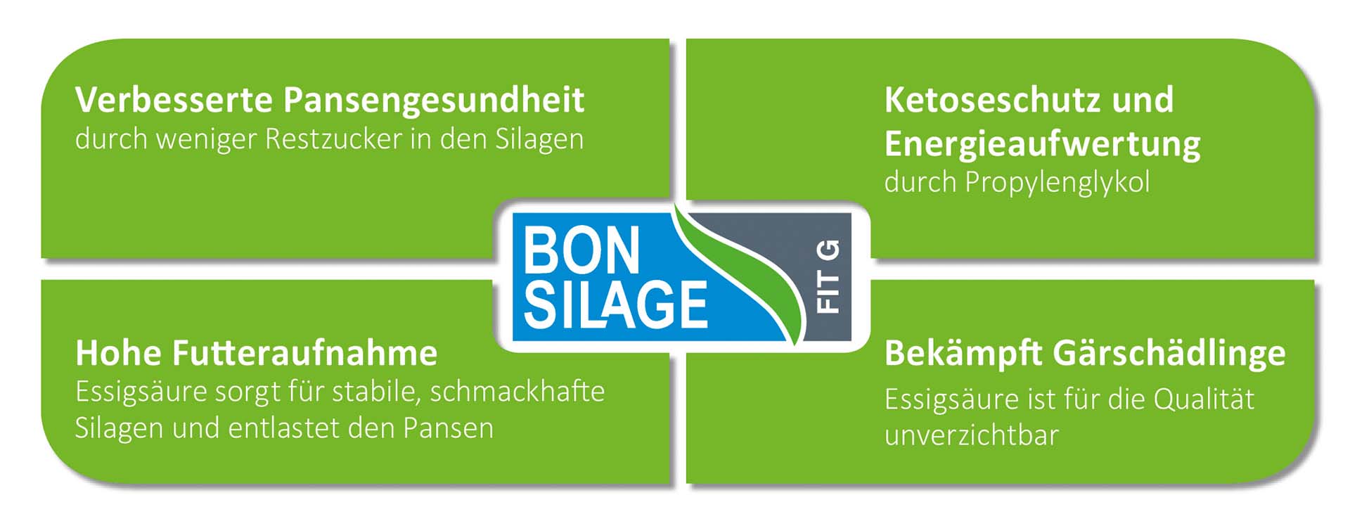 Wirkung von BONSILAGE FIT G