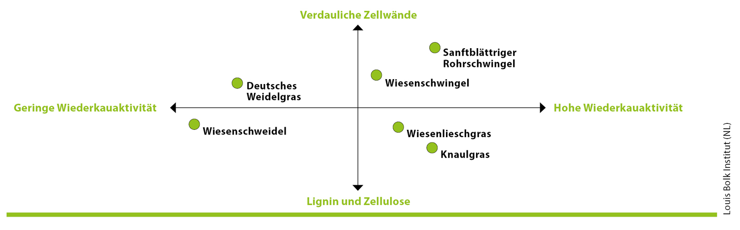 Unterschiede in der Verdaulichkeit der Zellwände