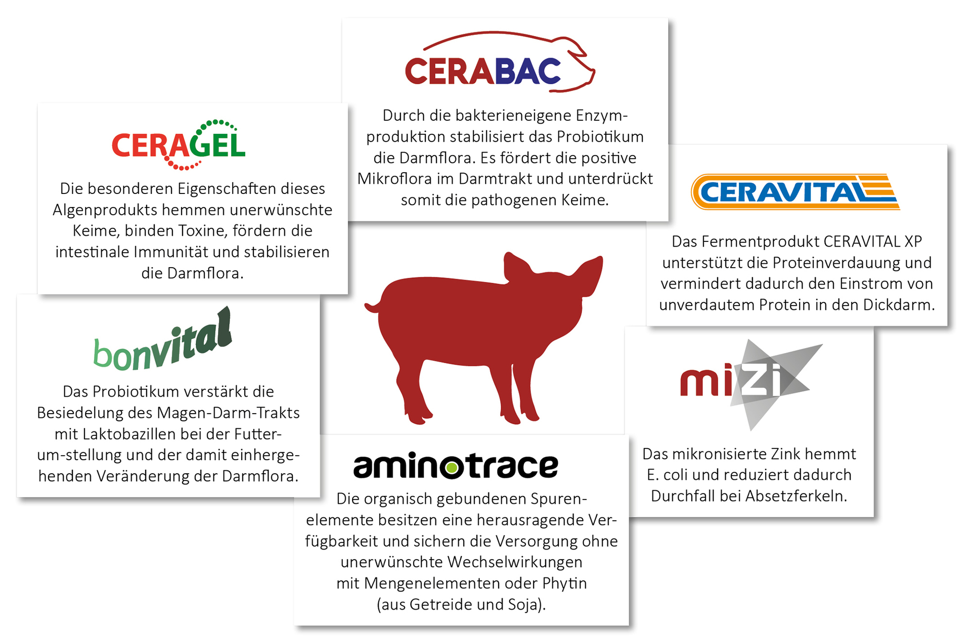 Zusammenspiel der Wirkstoffe