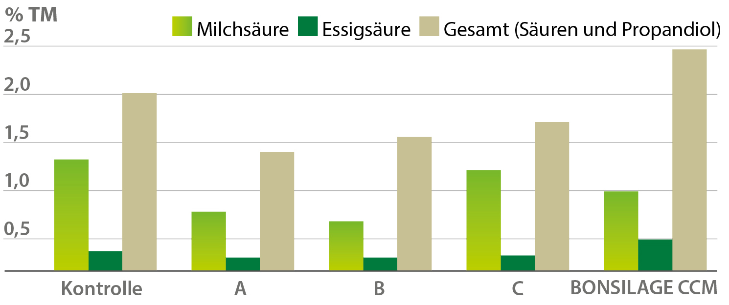 Gärsäuremuster
