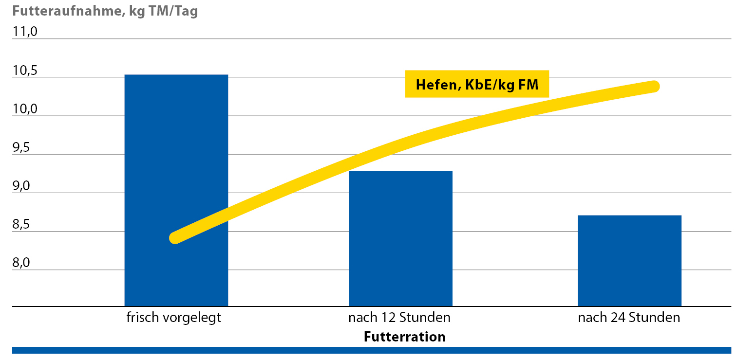 Hefenbesatz senkt Futteraufnahme