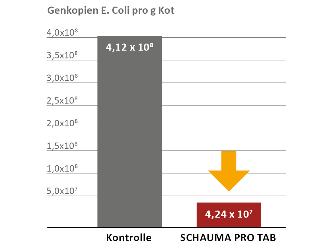 SCHAUMA PRO TAB senkt die Keimlast durch E. coli Bakterien